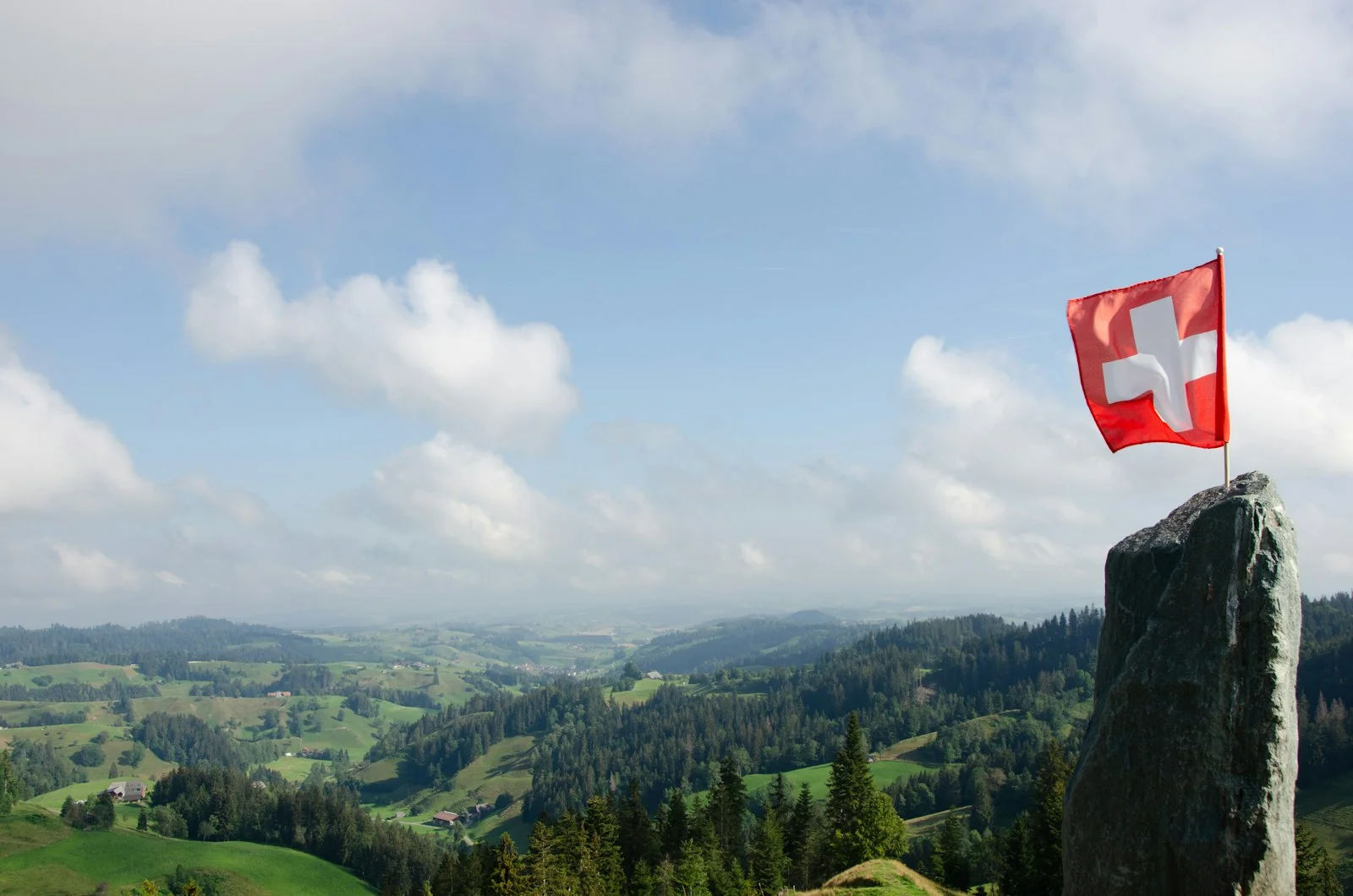 7 best Swiss dishes. green trees on mountain under white clouds during daytime