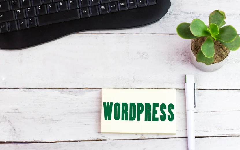 essential wordpress initial setup steps