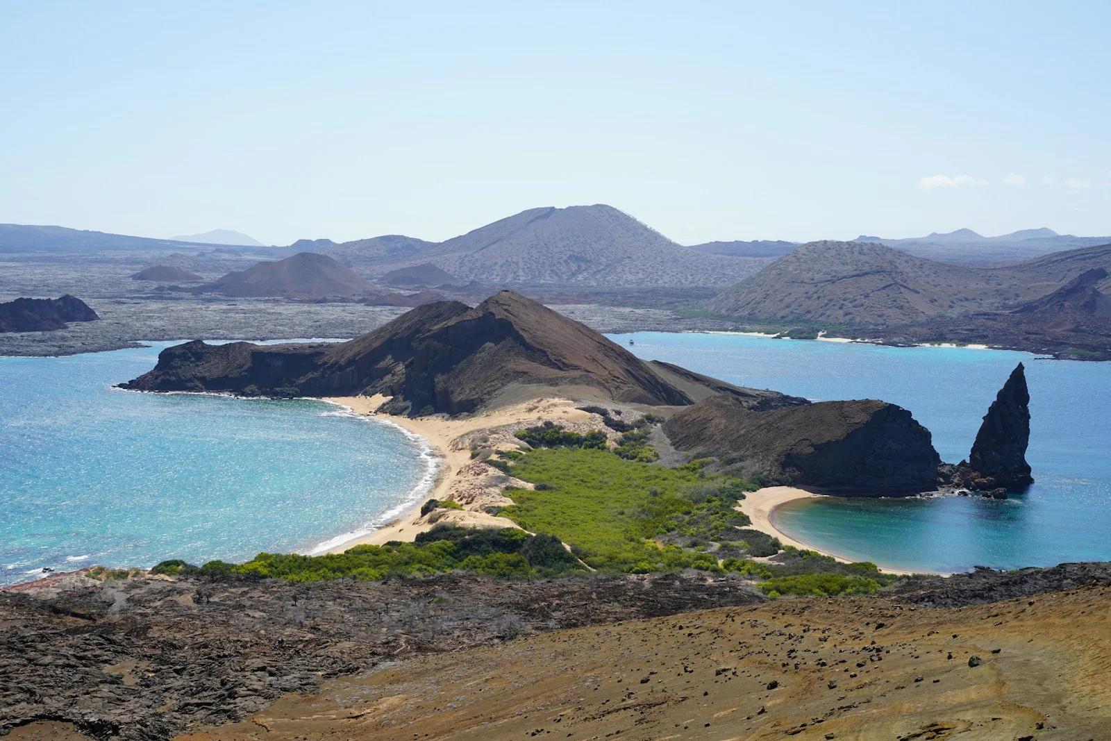 The Wonders of Galápagos: Animals and Plants from the Galápagos Islands Unveiled dEPOTOPIC - an island with a sandy beach and blue water