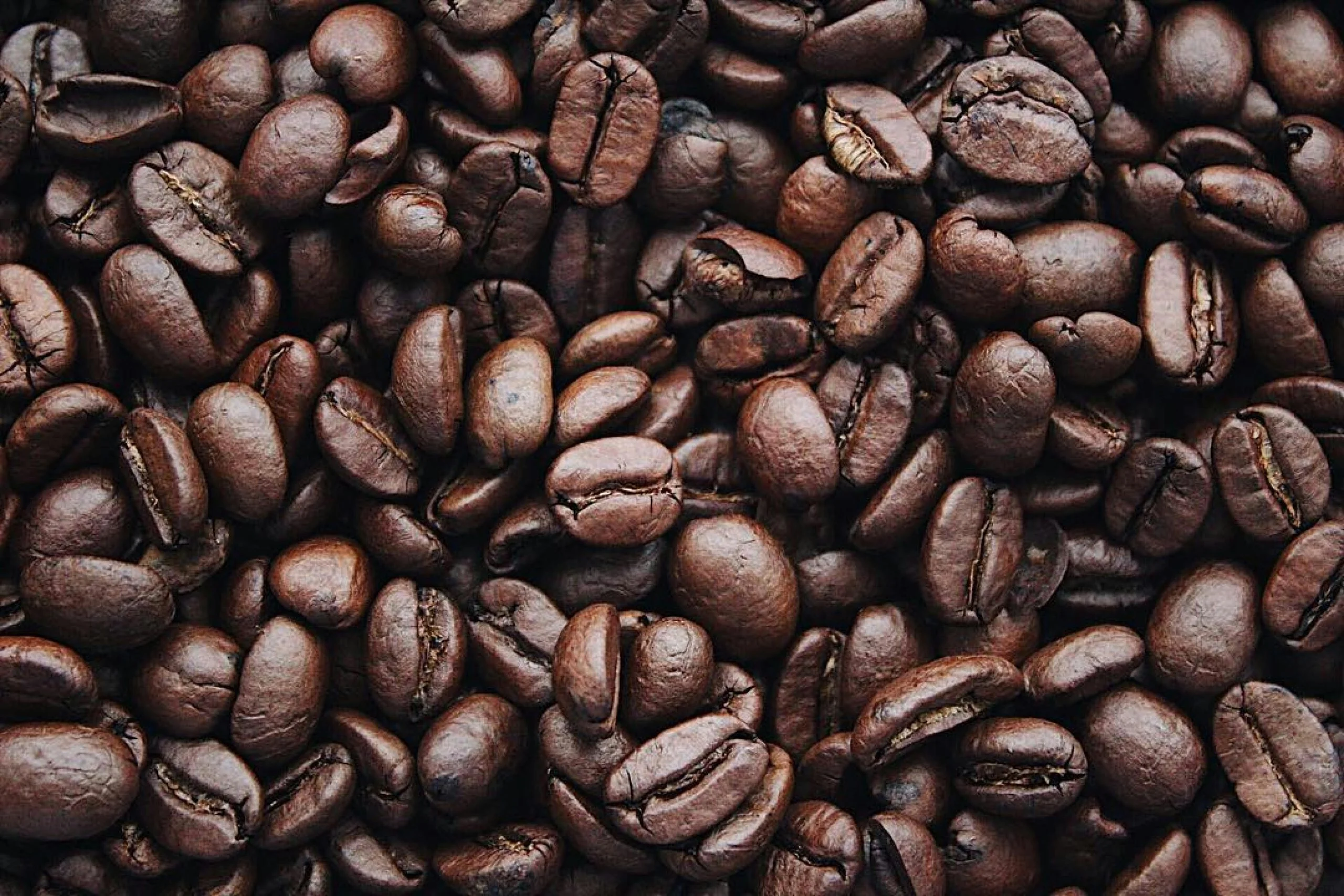 Amazing coffee fact - Depotopic.com